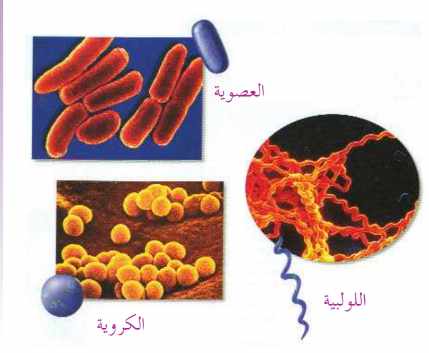 ما هي عوامل مسببات الأمراض التي تصيب الجسم
